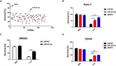 MicroRNA-381-3p Functions as a Dual Suppressor of Apoptosis and Necroptosis and Promotes Proliferation of Renal Cancer Cells